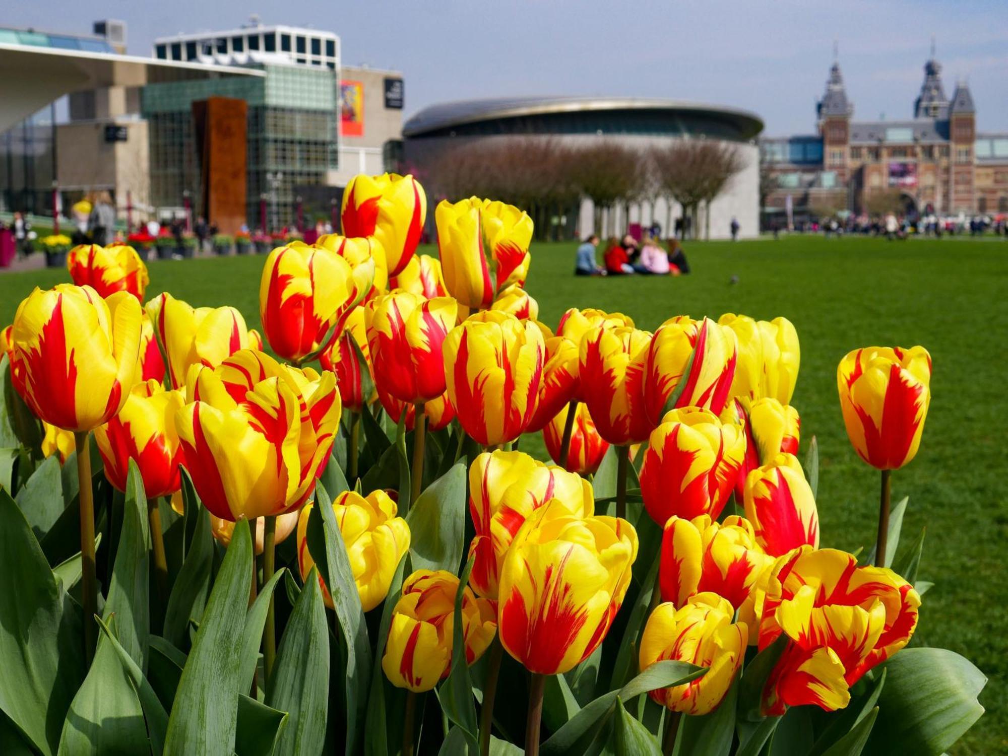 Apartments De Hallen Amsterdam Ngoại thất bức ảnh